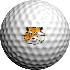 Golf Dotz Golf Ball Stick On Markers-NEW Assorted designs