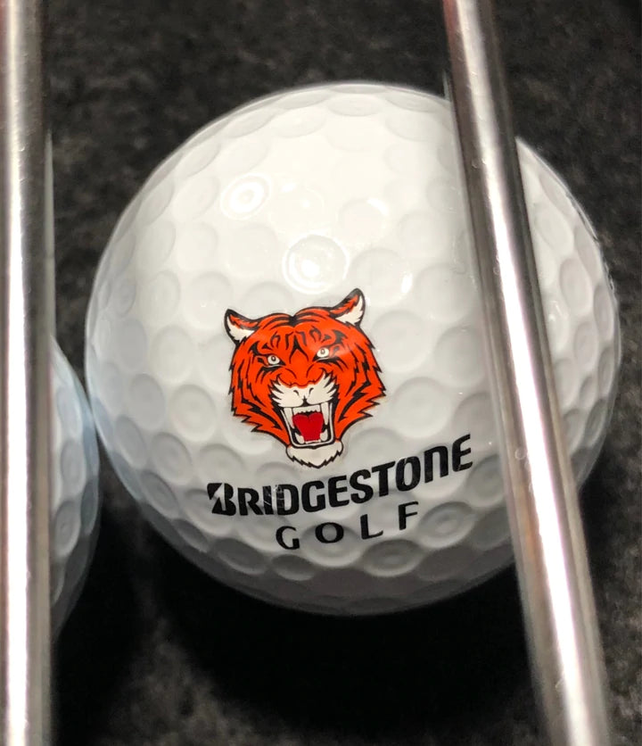 Golf Dotz Golf Ball Stick On Markers- Assorted designs