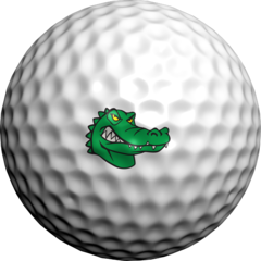 Golf Dotz Golf Ball Stick On Markers-NEW Assorted designs