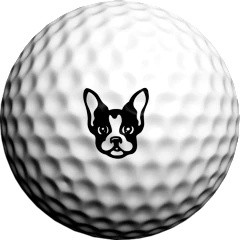 Golf Dotz Golf Ball Stick On Markers- Assorted designs